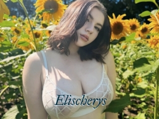 Elischerys