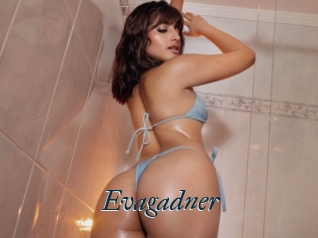 Evagadner