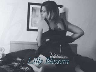 Lilly_Blossom